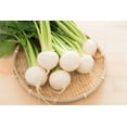 thumbnail image 1 of 300 Seeds WHITE EGG TURNIP Brassica Rapa Vegetable Seeds, 1 of 11