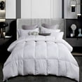 thumbnail image 1 of 300 Thread Count White Down Comforter, 1 of 4