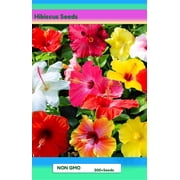 300 pcs Hibiscus Seeds for Planting, Mixed-Color Perennial Confederate Rose Flower Seeds for Outdoor Garden Flower Beds