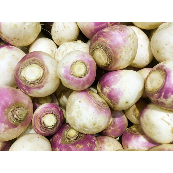 3000 LAURENTIAN RUTABAGA Brassica Napus Vegetable Seeds