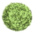 thumbnail image 1 of 30000Pcs Flat Sequin Paillettes, 3mm/0.12" Flat Round Loose Sequin with Single Holes - 3.53 oz (100g) for DIY Crafts Sewing Embroidery Clothing, Light Green, 1 of 6