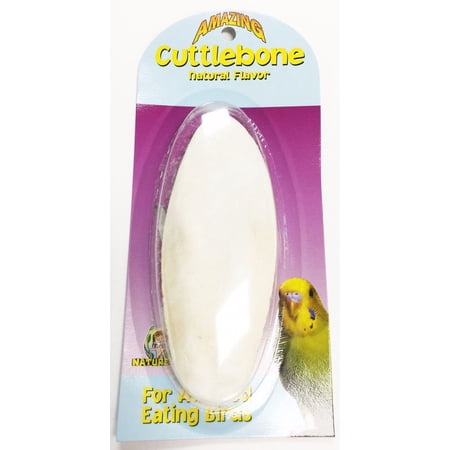 30001 Medium Cuttlebone
