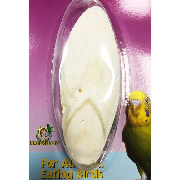 30002 Large Cuttlebone