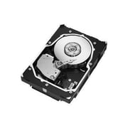 300GB SAS 15K RPM 3GB/S 3.5IN DISC PROD SPCL SOURCING SEE NOTES