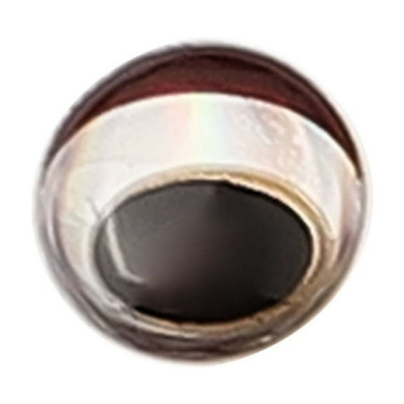 300PC 3/4/5/6Mm Snake Pupil Red 3D Holographic Fishing Lure Eyes Fly Tying Diy