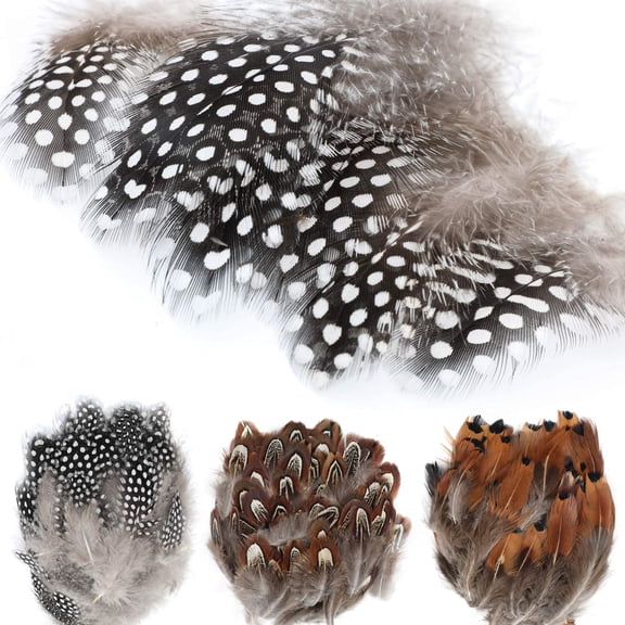 300PCS Assorted Feathers 2-5 inch, 3 Styles Feathers for DIY Crafts Wedding Halloween Costume Party Decorations Dream Catcher Supplies