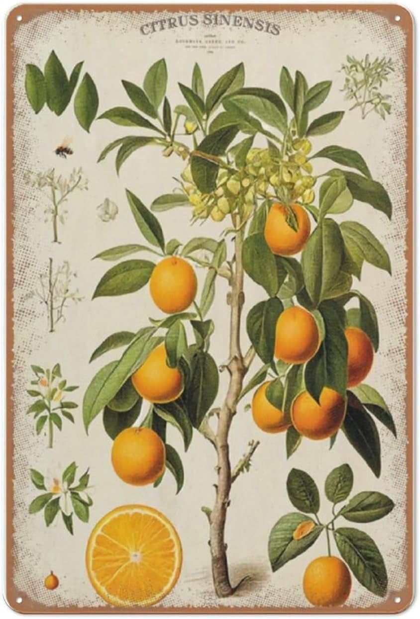 300PCS Jigsaw Puzzles Vintage Orange Tree Print, Citrus Poster, Orange ...