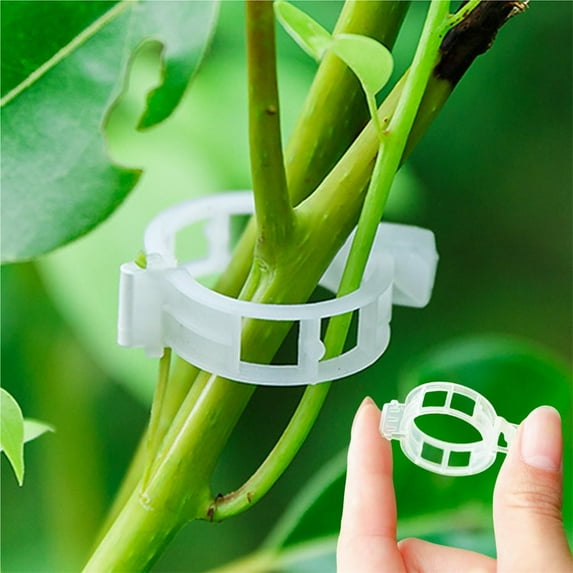 300Pcs Plant Support Clips, Plastic Trellis Clips, Plant Clips for Climbing Plants, Grape and Tomato Vine, Vegetables Plants, Garden Clips to Grow Upright Makes Plants Healthier