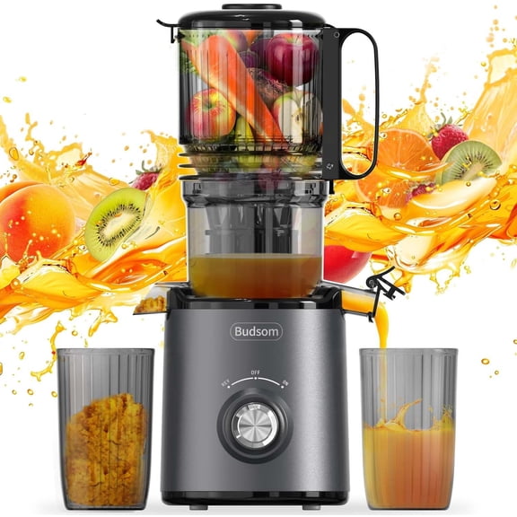 300W Slow Masticating Juicer for Whole Fruits & Vegetables 5.3 Wide Feed Chute High Juice Yield Easy to Clean Quiet 55 RPM Juice Extractor for Home & Kitchen