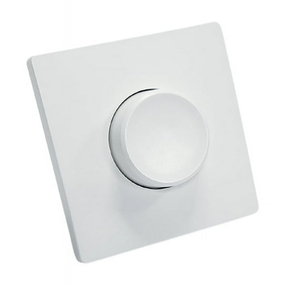 300W Smart Dimmable Wall Switch Wireless Switch for Living Room Ceiling Light Chandelier Pendant Lamp Remote Control,1 * Dimmable Switch,White