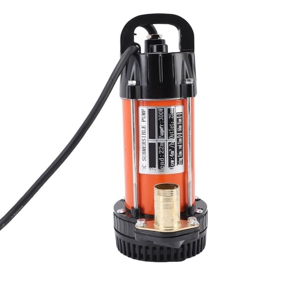 300W Submersible Water Pump Stainless Steel Electric Transfer Utility Pump with 2.5m Cable 1in Outlet 12V DC