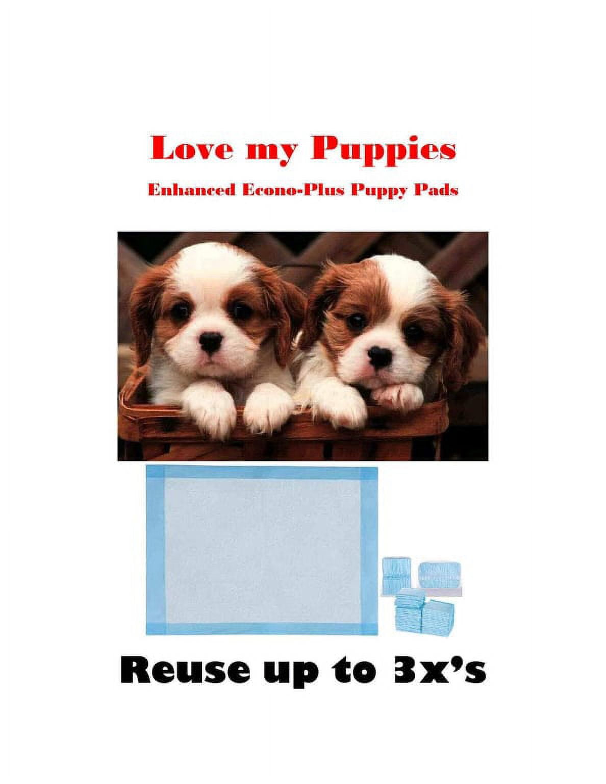 300ct 23x36" Econo Extra Puppy Dog Training Pee Pads Reusable up 3x's 46gr