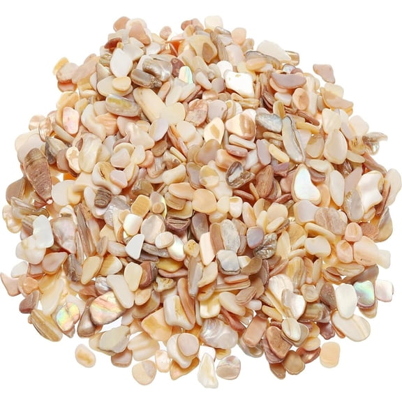 300g Natural Crushed Shells for Craft,Bexikou Irregular Sea Shell Pieces Crushed Seashells Pieces Chips for Home Decoration Art Crafts DIY Projects Weddings Party, Succulent Plants
