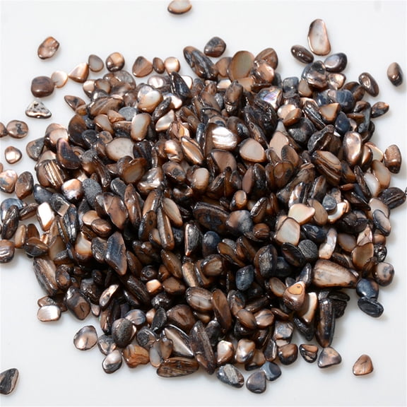 300g Natural Crushed Shells for Craft,Bexikou Irregular Sea Shell Pieces Crushed Seashells Pieces Chips for Home Decoration Art Crafts DIY Projects Weddings Party, Succulent Plants