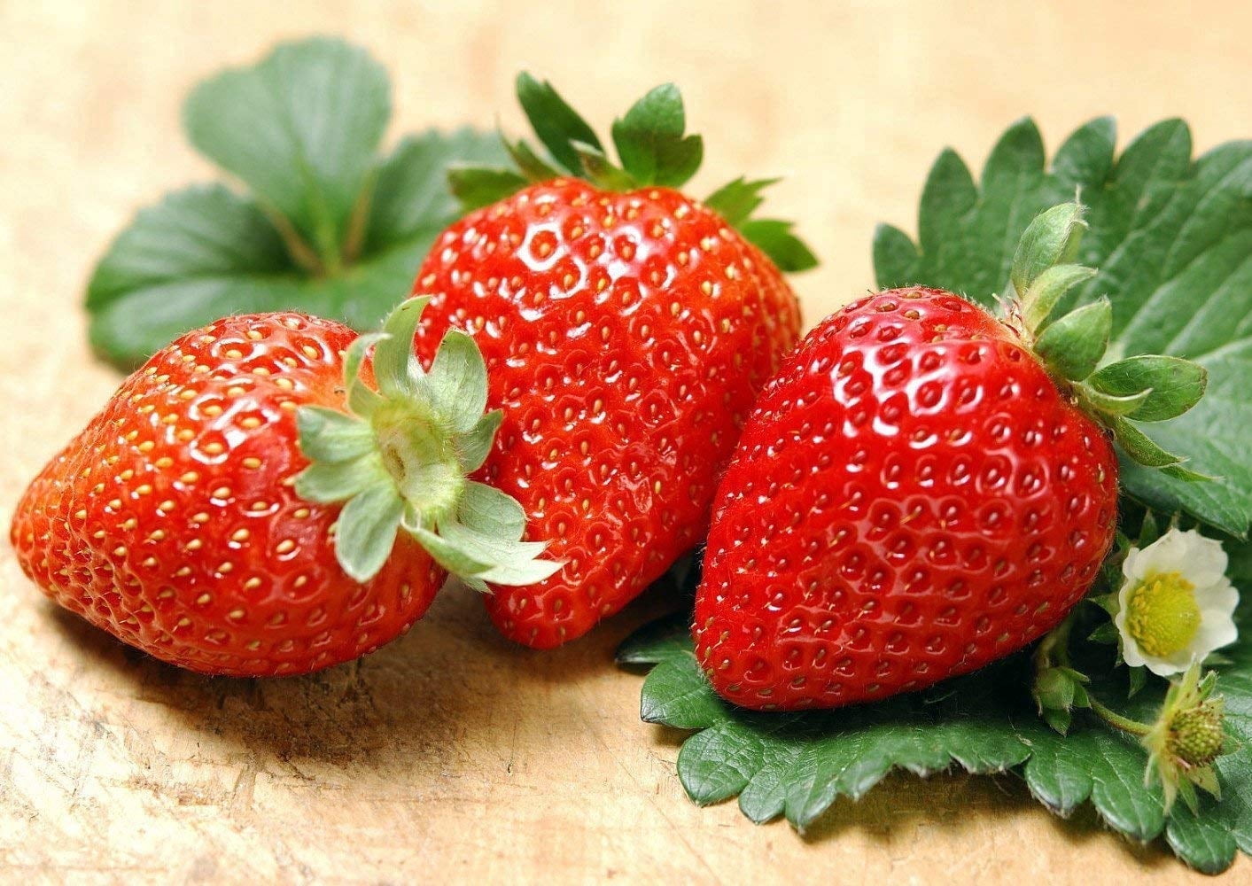 300pcs Giant Strawberry Seeds, Sweet Red Strawberry/Organic Garden  Strawberry Fruit Seeds, for Home Garden Planting - Walmart.com