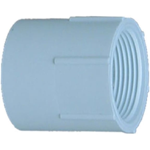 30314 1.25 in. Slip x Thread, Female Adapter, White