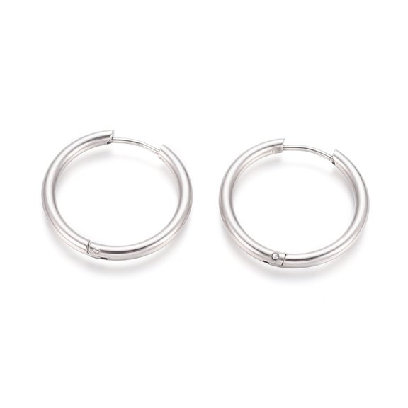 304 Stainless Steel 10 pair Tarnish Resistant 304 Stainless Steel Huggie Hoop Earrings Hypoallergenic Earrings with 316 Surgical Stainless Steel