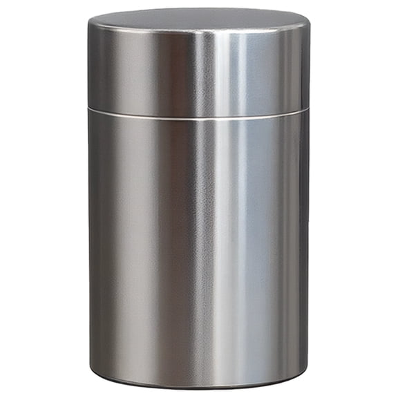 304 Stainless Steel Holder Keychain, 0.68 fl oz / 20 mL Waterproof Dose Box Container for Travel, Airtight and Moisture-Proof Small Metal Dose Case for Green Tea, Capsule, Silver