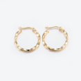thumbnail image 1 of 304 Stainless Steel Hoop Earrings Gold Round Hoop Earrings 304 Stainless Steel, 1 of 2