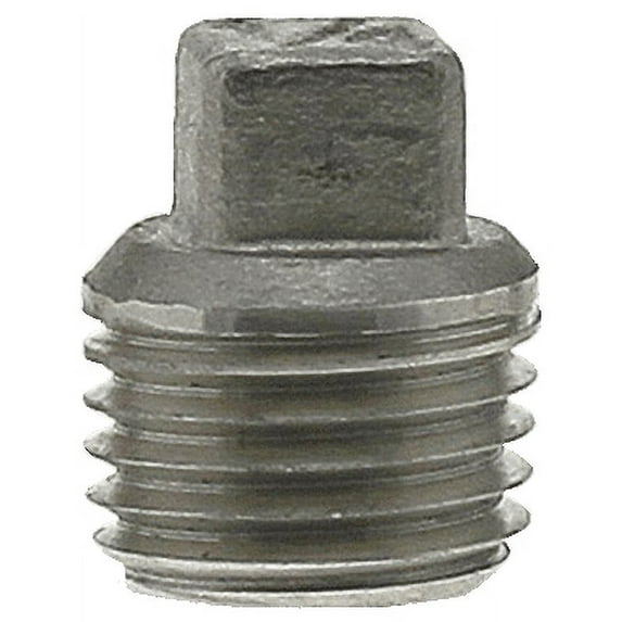 304 Stainless Steel Plug - 1/4"
