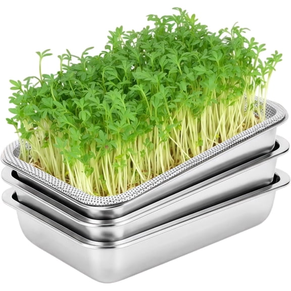 304 Stainless Steel Sprouting Tray Set, 3 Pack 13 x 8.7 x 2.3 in Microgreens Growing Trays with Mesh Insert for Wheatgrass and Seed Germination