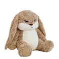 thumbnail image 1 of Toy Bunny Rabbit - 12in Cute Devil Long-Eared Bunny Plush Pillow, Soft Stuffed Animal Plush Toy, Perfect as Gift for Bedroom, Living Room, Office Decoration, 1 of 6