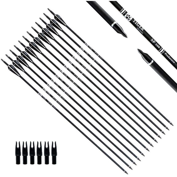 30Inch Carbon Arrow Practice Hunting Arrows with Removable Tips for Compound & Recurve Bow(Pack of 12)