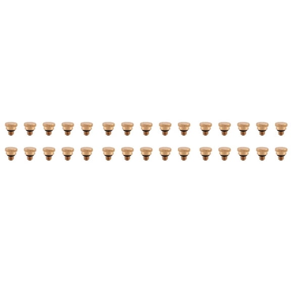 30PCS 10/24 Screw Thread Brass Misting Nozzle Plug Low Pressure Atomizing Mist Nozzle for Outdoor Cooling System,30 x Brass Misting Nozzle Plug,Gold