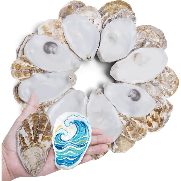 30PCS 3"-4" Flat Oyster Shells, Natural Seashells for Crafts, Decoupage, Beach Wedding Decor & Christmas Ornaments, Bulk Medium Oyster Shells