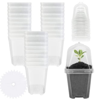 Plastic Dome Plants