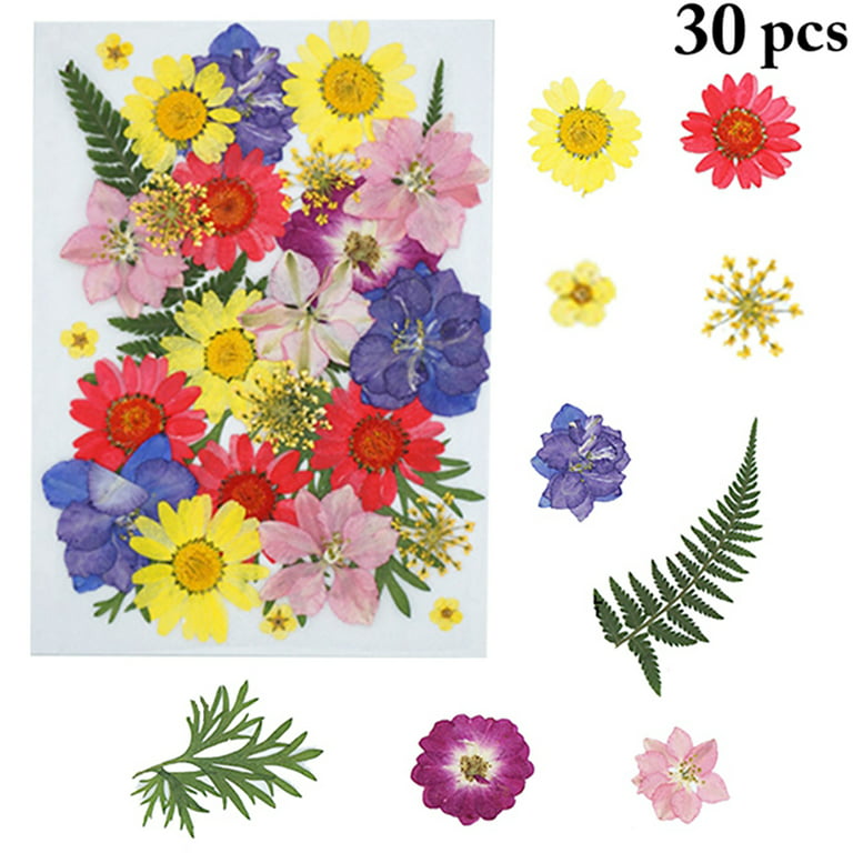 30pcs DIY Pressed Flowers Assorted Dried Sunflowers DIY Dried Flowers for Resin, Size: One Size