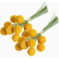 thumbnail image 1 of 30PCS Golden Dry Flowers,Artificial Craspedia Globosa Flowers,Dried Billy Balls,DIY Crafts Floral Arrangements,for Wedding Birthday Party Home Decor, 1 of 7