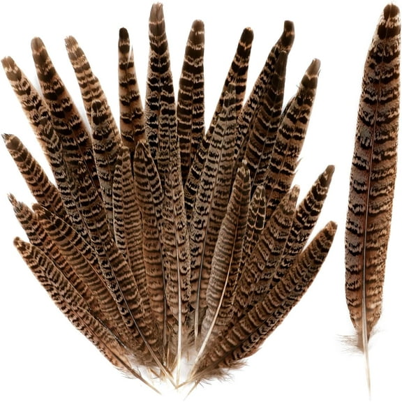 30PCS Natural Female Pheasant Feathers, 3 Sizes of Pheasant Tail Feathers 6-8in 8-10in 10-12in Suitable for DIY Craft Home Decoration Performance Party Wedding