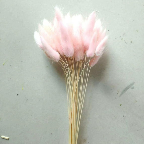 30PCS Natural Rabbit Tail Grass Dried Household Flower Decorations Festive Party Supplies