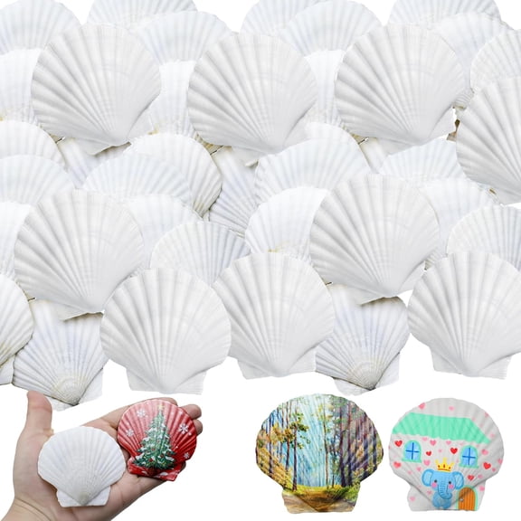 30PCS Natural Seashells for Crafts, 2-3 Inches Scallop Shells for Crafting, White Sea Shells for Decorating, DIY Hand Painting, Christmas Decoration, Ocean Themed Party, Beach Wedding
