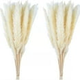 30PCS Small Reed Immortal Flower Bouquet Pampas Grass Dry Flowers