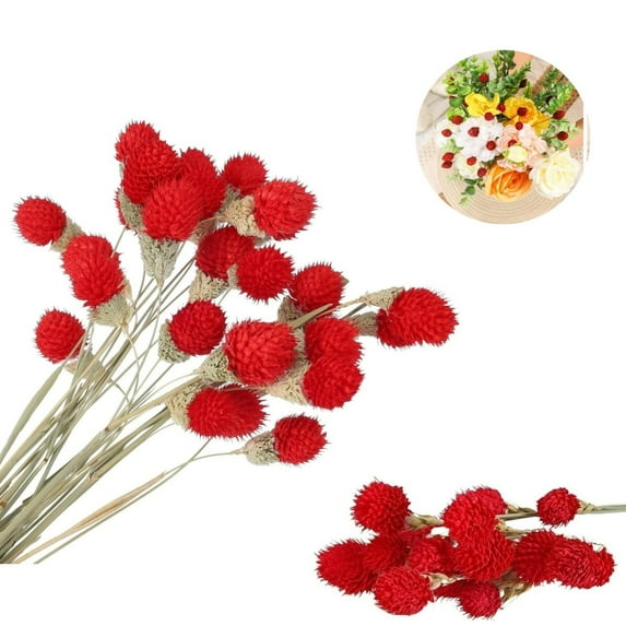 30Pack Red Mini Amaranth Flower,QZS Reusable Dried Flower,Portable Dried Amaranth Decor for DIY,Sachets,Wedding Party Decoration