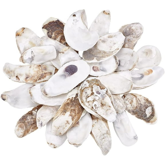 30Pcs 3 Sizes Oyster Shells for Crafts Oyster Ornament 7~12cm Large Shells Natural Sea Shells for Crafting Home Decor Vase Filler Xmas Ornaments DIY Arts Crafts Sea Shells