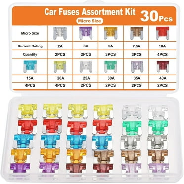 Truck Fuses Assortment Kit Car Fuses Assortment Kit Blade-Type Automotive Fuses Standard & Mini... 10 Amp Mini Fuse