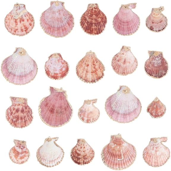 30Pcs Electroplated Natural Multicolor Sea Shell Pendants Shell Shape Charms with Iron Findings Light Gold Sienna 33-54x28-48x7-11mm Hole: 2mm