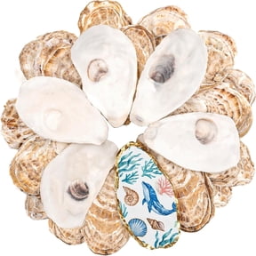 30Pcs Large Flat Oyster Shells for Crafts, 5-6 Inch Cleaned Natural Oyster Shells for Decoupage Painting Vase Filler Wedding DIY Decor Coastal Christmas Large Seashells Art