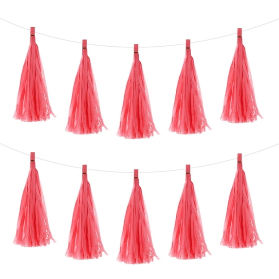 30Pcs Light Red Tassel Garland Banner w Rope for Wedding Birthday Party Decoration