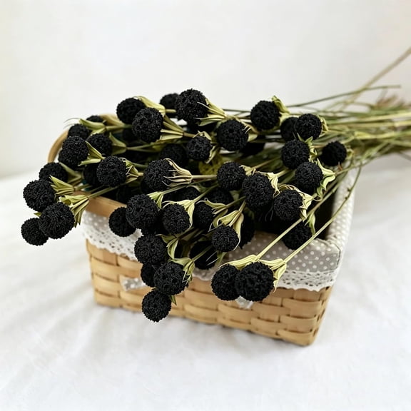 30Pcs Natural Black Dried Craspedia Billy Balls, Boho Dried Thistle Flowers | Farmhouse Wedding Home Vase Decor for DIY Floral Arrangement