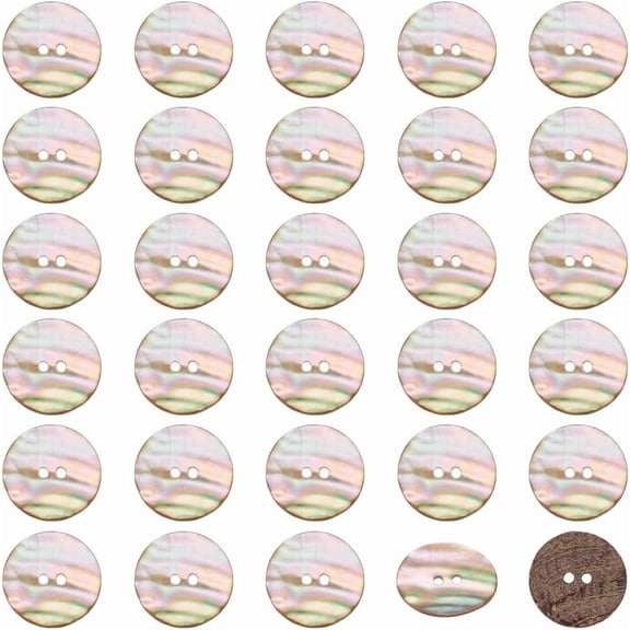 30Pcs Natural Shell Buttons 25mm Abalone Paua Shells Buttons 2-Holes Round Sewing Craft Button Bulk for DIY