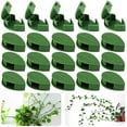 thumbnail image 1 of 30Pcs Plant Clips for Climbing Plants, Self-Adhesive Fixing Devices, 1 of 5
