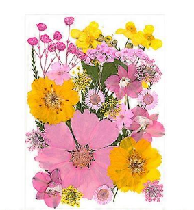30Pcs Pressed Flower Art Craft Embellishment Supplies For Handmade Bookmarks Candle Jewelry Making Scrapbooking