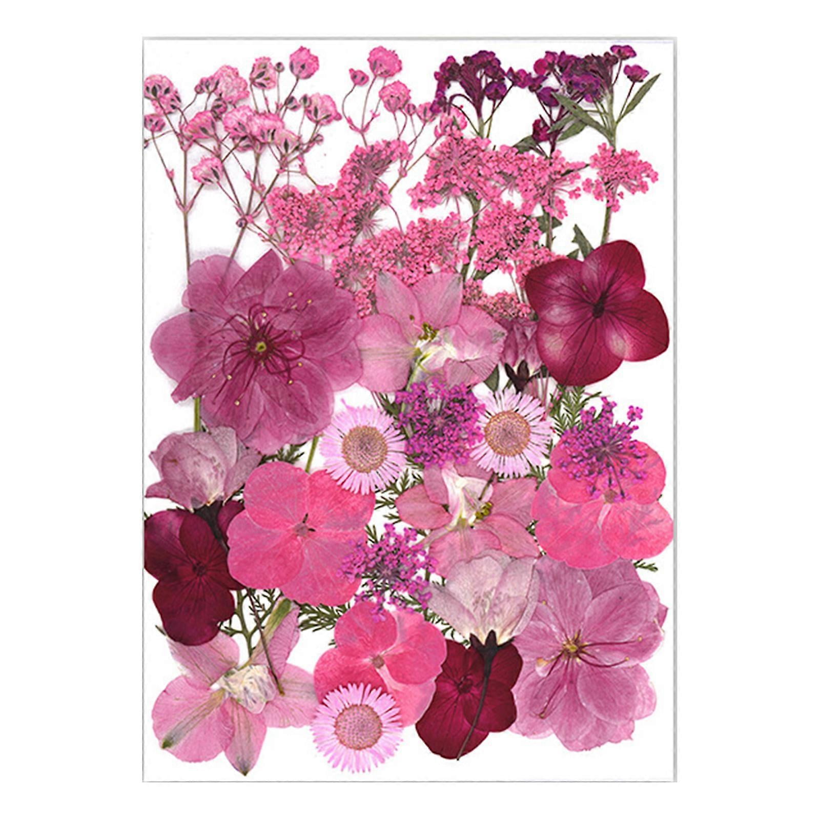 30Pcs Pressed Flower Art Craft Embellishment Supplies For Handmade Bookmarks Candle Jewelry Making Scrapbooking