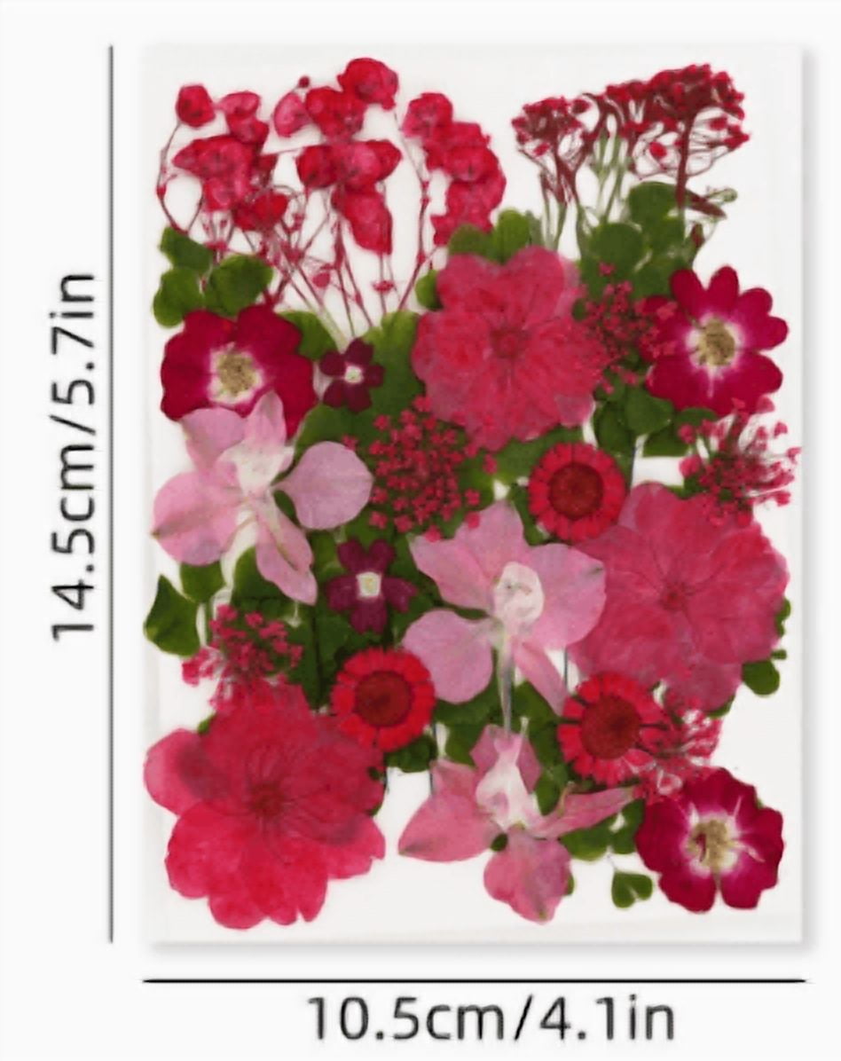 30Pcs Pressed Flower Art Craft Embellishment Supplies For Handmade Bookmarks Candle Jewelry Making Scrapbooking