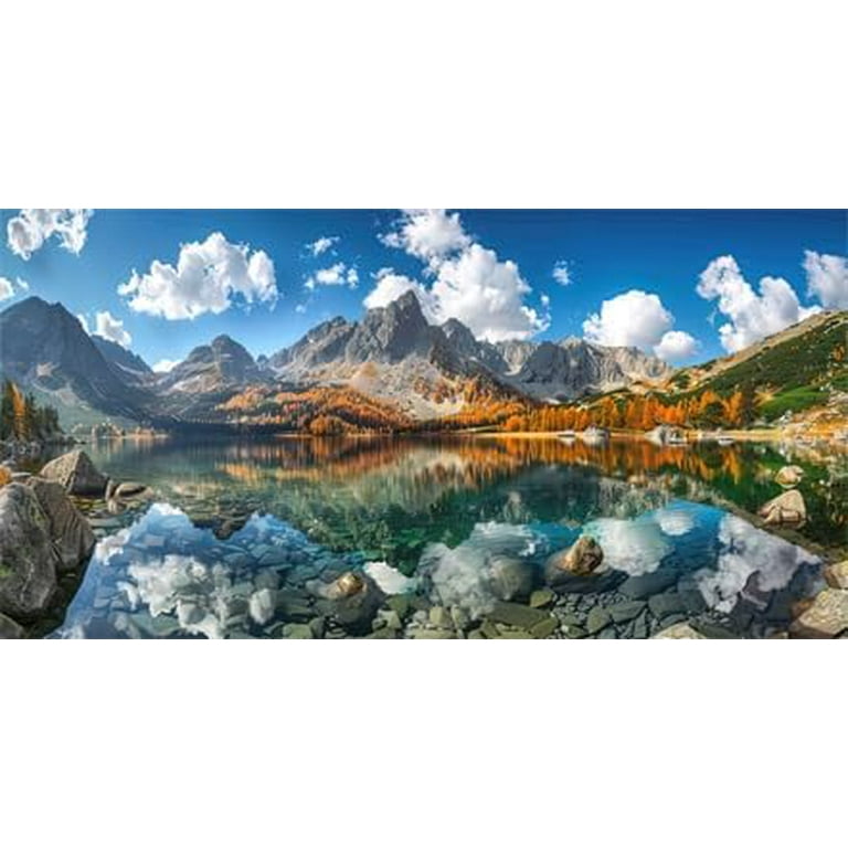 Back to nature aquarium backgrounds clearance