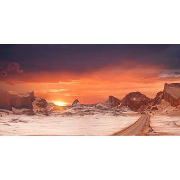 30X18IN, Sun and Desert Moon Themed Reptile Habitat on Orange Durable Decorative Background, Terrarium Background with 8 EVA Double-Sided Tape